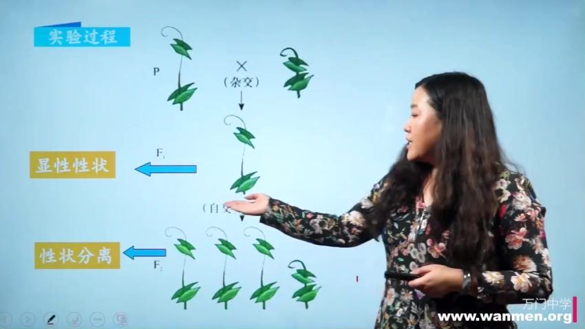 高中生物必修二（翟思茗） 百度网盘分享