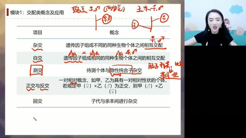 2024高二高途马阳洋生物春季班 百度网盘分享