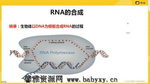 2022考虫考研西医生化学 百度网盘