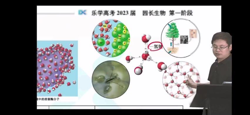 2023高三乐学生物任春磊第一阶段(一轮) 百度网盘分享