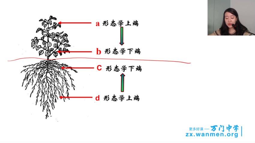 2018年 高中生物必修三串讲（翟思茗） 百度网盘分享