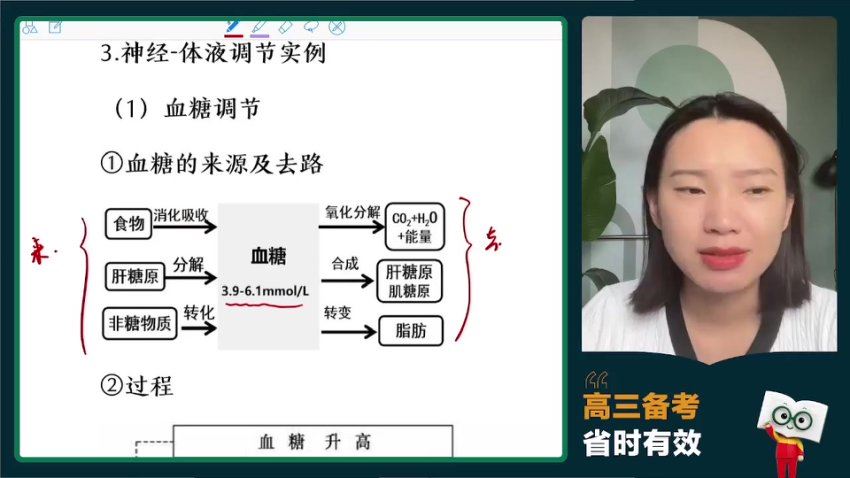 2024高三生物毛慧一轮秋季班 百度网盘分享
