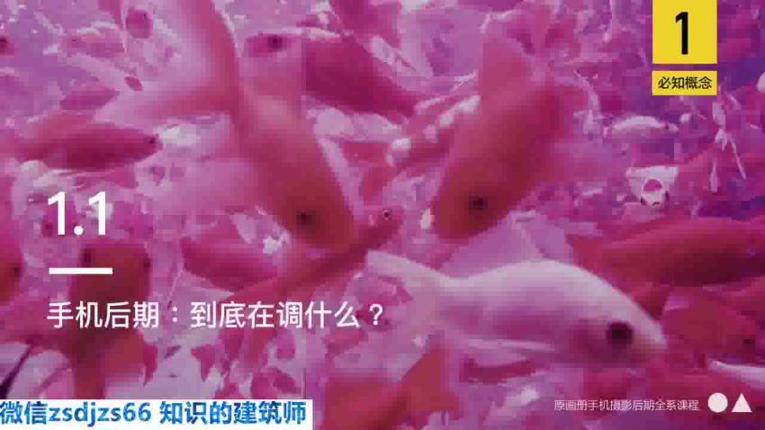 拍摄与剪辑： 韩松教你学透手机摄影后期​ 百度网盘分享