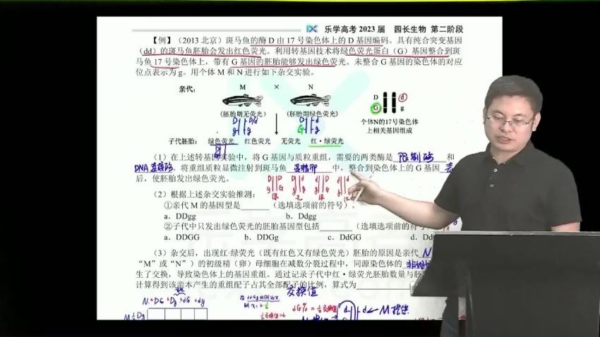 2023高三乐学生物任春磊第二阶段(一轮) 百度网盘分享