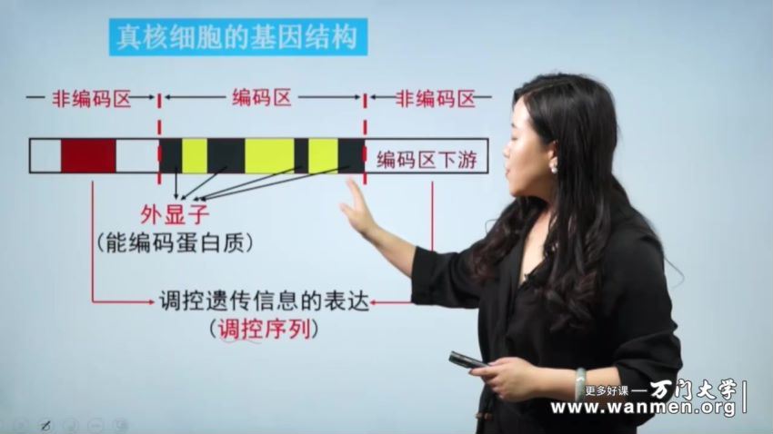 2018年 高中生物选修三（翟思茗） 百度网盘分享