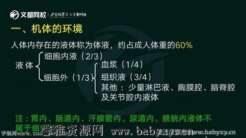 文都2022考研西医临综基础夯实课程生理学 百度网盘分享