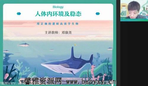 作业帮2022高二生物邓康尧秋季尖端班 百度网盘