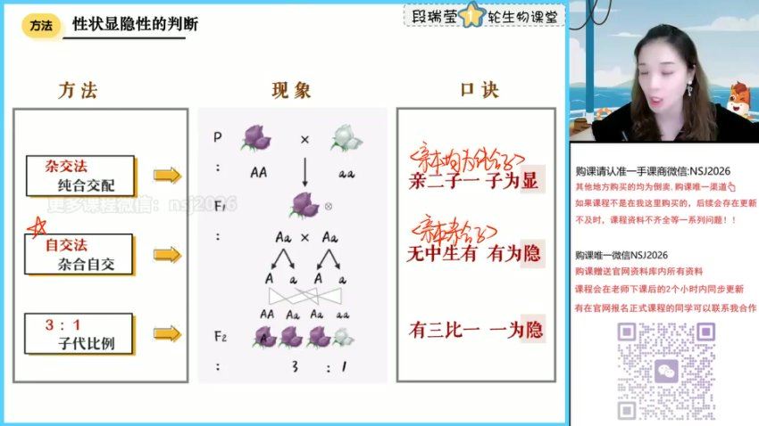 2024高三段瑞莹生物一轮秋季班 百度网盘分享