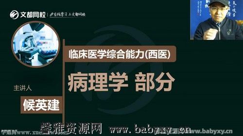 文都2022考研西医临综基础夯实课程病理学（8.20G高清视频）