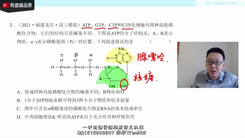 2022高考有道生物陈旭晨一轮秋季班 百度网盘