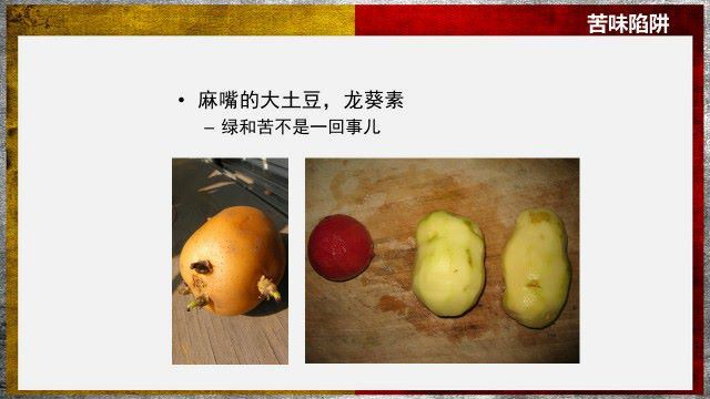 博雅小学堂：史军：舌尖上的植物学 百度网盘分享