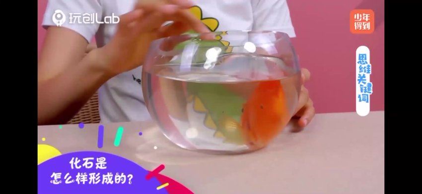 少年得到：【更新中】恐龙世界大挖掘 百度网盘分享