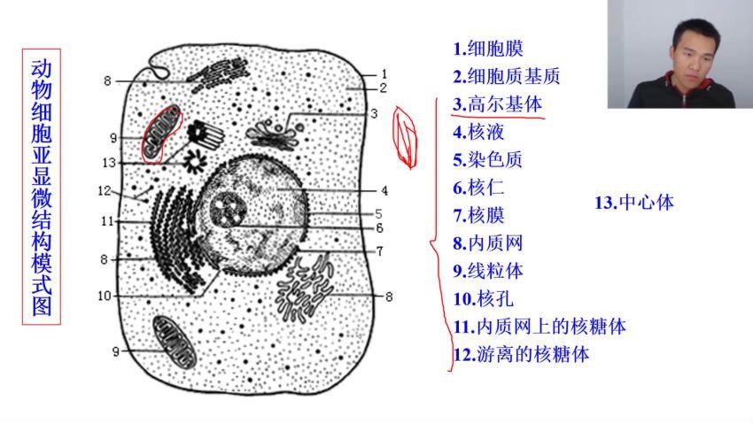 高中生物清北学霸答疑-7 百度网盘分享