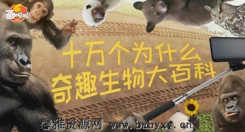 小灯塔奇趣生物大百科（完结）百度网盘分享