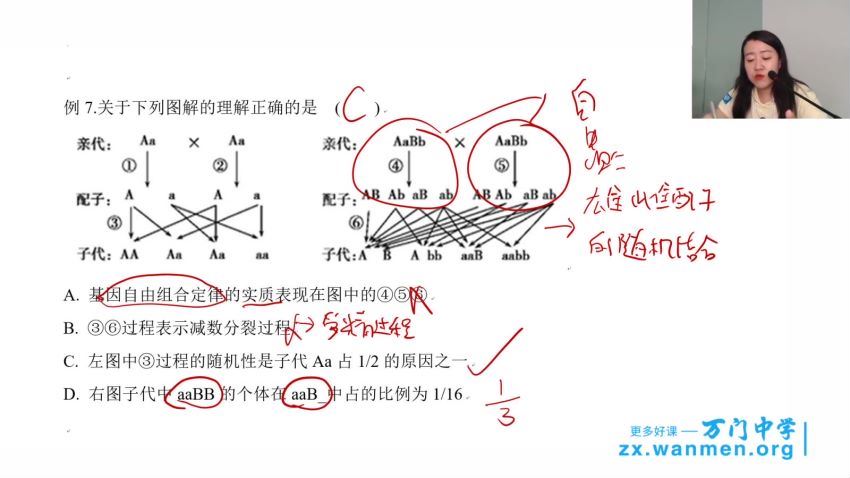 2018年 高中生物必修二串讲（翟思茗） 百度网盘分享