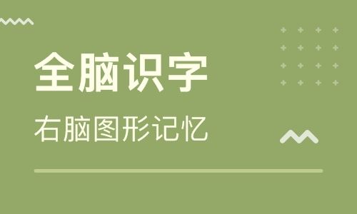 全脑通识字 百度网盘下载 