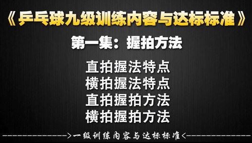 乒乓球业余一级到专业九级训练教学与达标标准（720P超清）百度网盘 