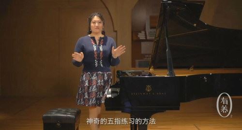 常青藤鑫然学琴，不可错过的钢琴技巧大师课（超清视频完结）百度网盘