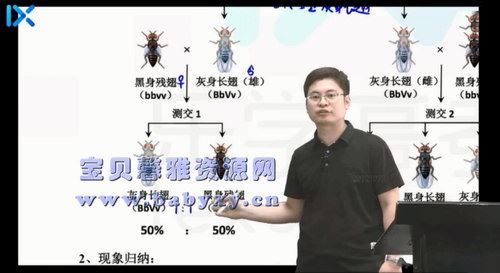 2021乐学高考任春磊生物第二阶段（15.3G高清视频）百度网盘