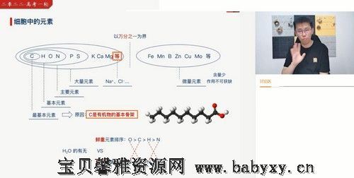 猿辅导2022高考高三生物张鹏s班暑假班（完结）（11.8G高清视频）百度网盘