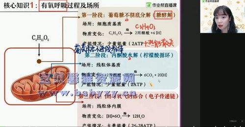 2021作业帮高二寒假段瑞莹生物尖端班（10.3G高清视频）百度网盘