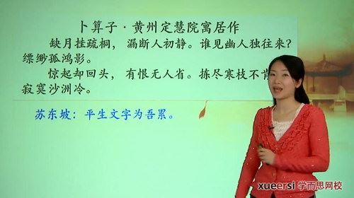 学而思大语文学堂系列—穿越时空对话：苏轼来了（高清视频）百度网盘 