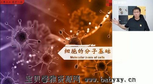 猿辅导2022高考高三生物张鹏a+暑假班（20.9G高清视频）百度网盘