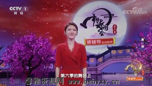 中国诗词大会第六季（2021完结）百度网盘