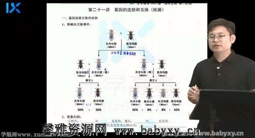 2022乐学高考生物任春磊第二阶段 百度网盘分享